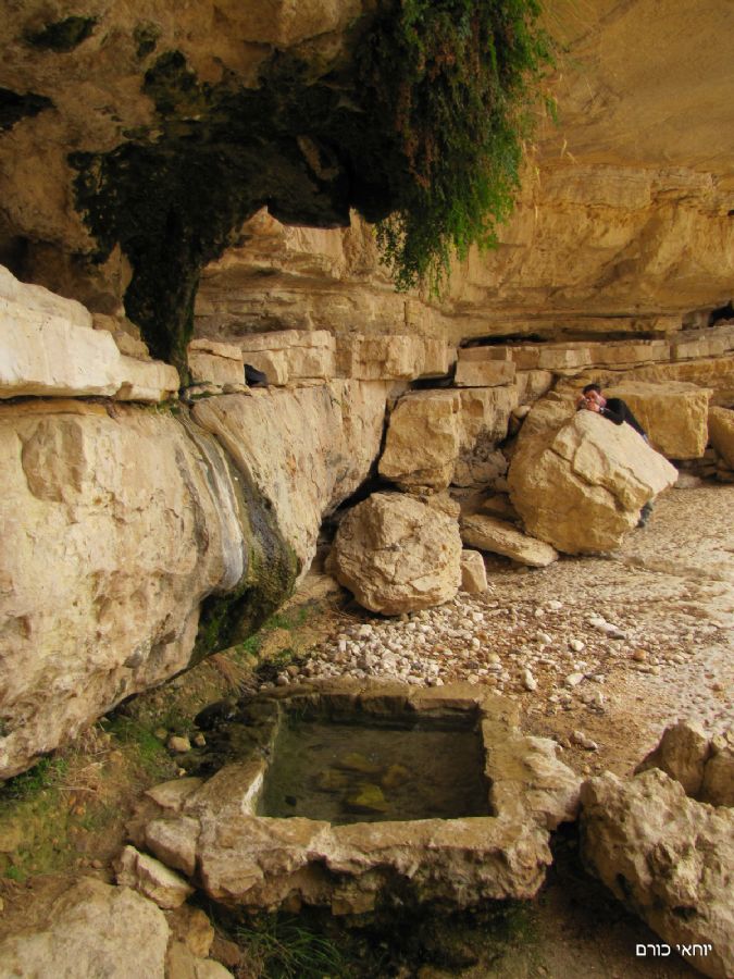 עין חווה - מים קרירים במדבר