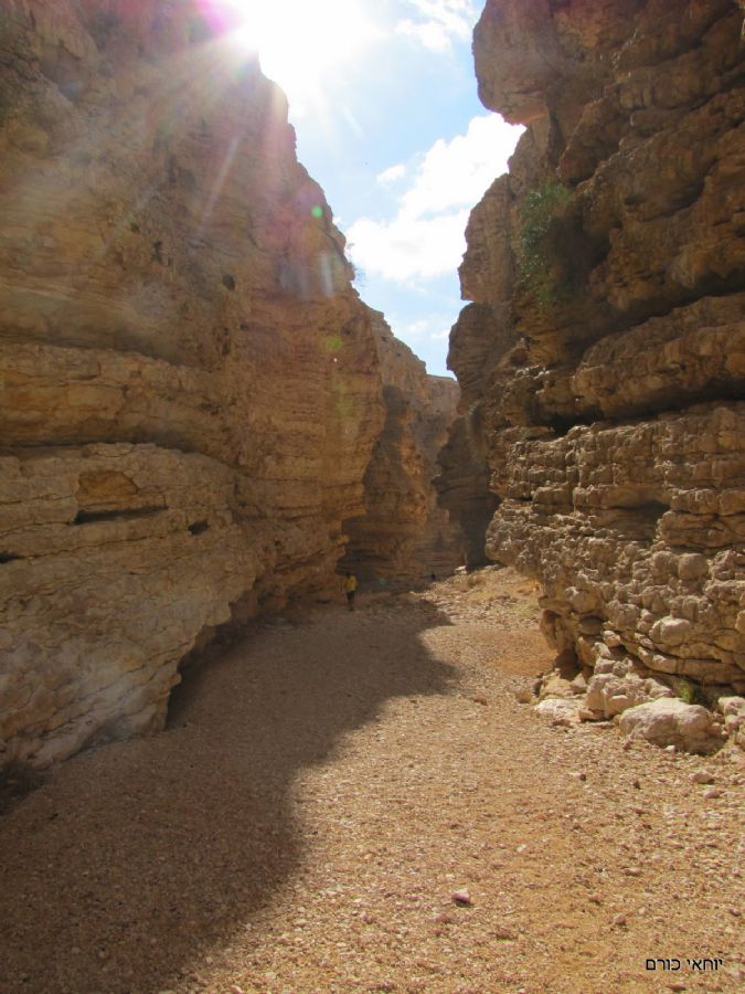 בדרך לגבי חווה