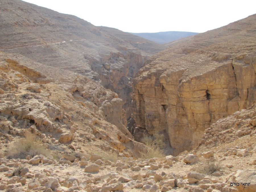 הפעם מלמעלה