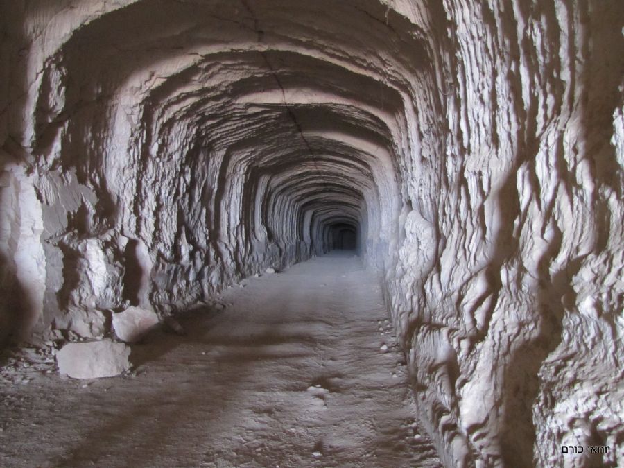 מחפורות הצינים