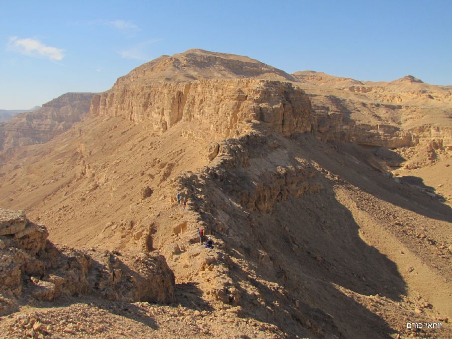 סכין אנמר נקרות