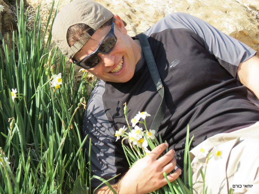 הנרקיסים בנחל חצץ