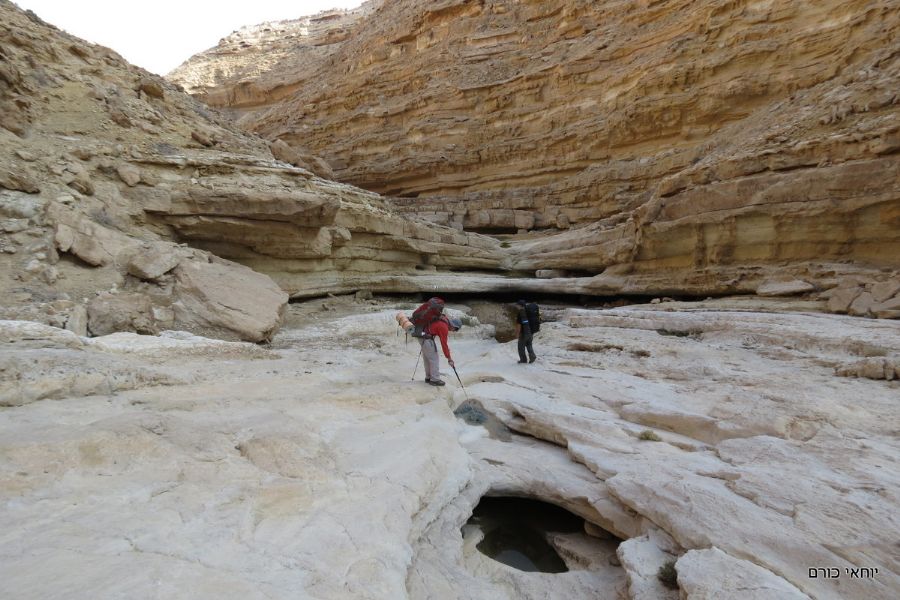 הגבים מלאים במים