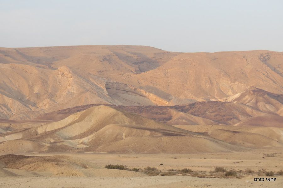 הפרסה מרחוק