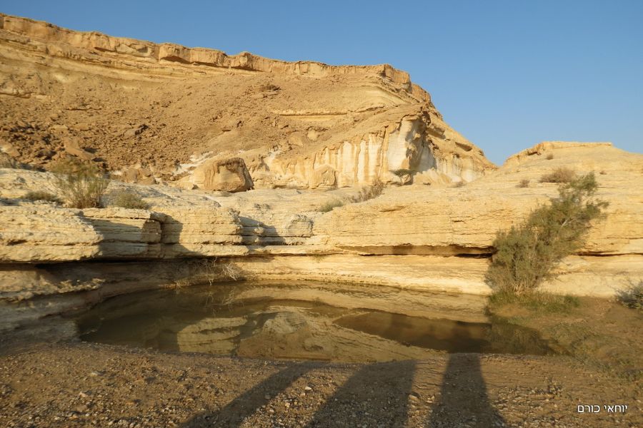 עין אם תינה