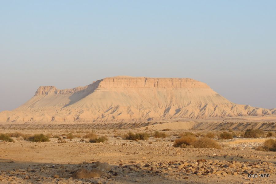 הר צין (הר ההר)