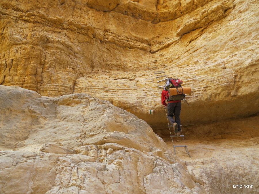 סולמות ויתדות במעוק נחל עתק