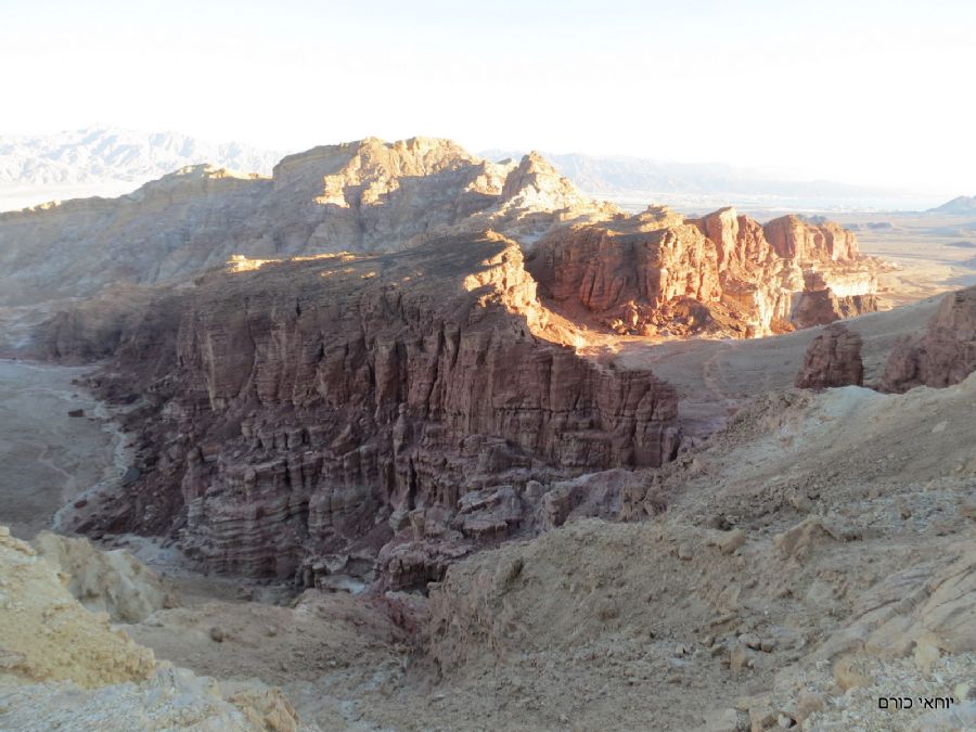 שולי הר אמיר