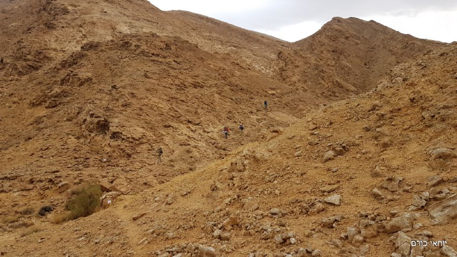 טיפוס תלול למצלעות