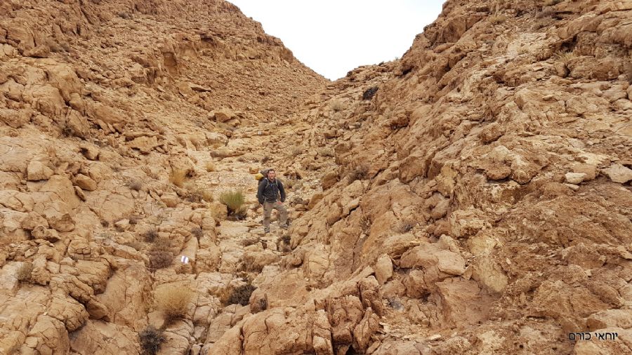 הטיפוס ממשיך תוך שהוא עובר בשכבות יפיפיות