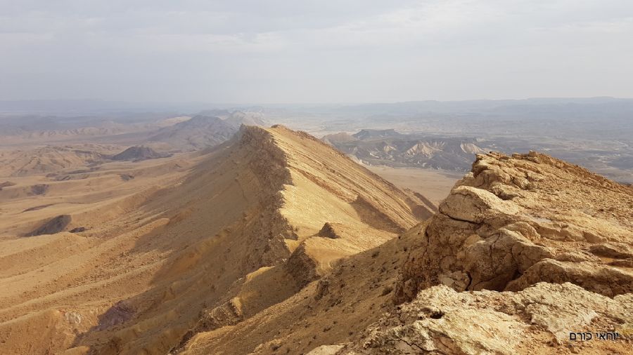 המצלעות עצמם