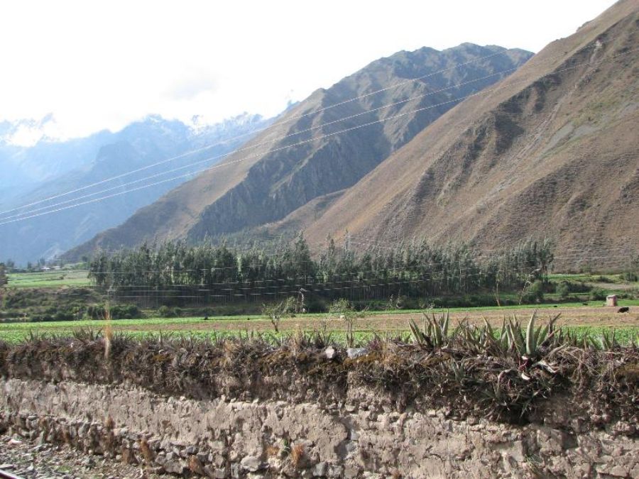 The way back to Coscu