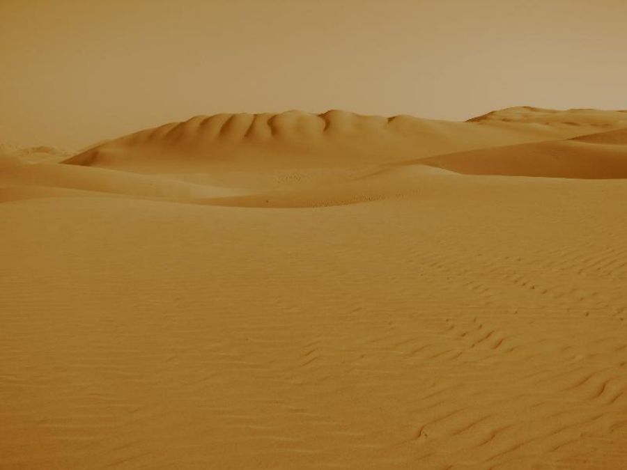 The sand dunes