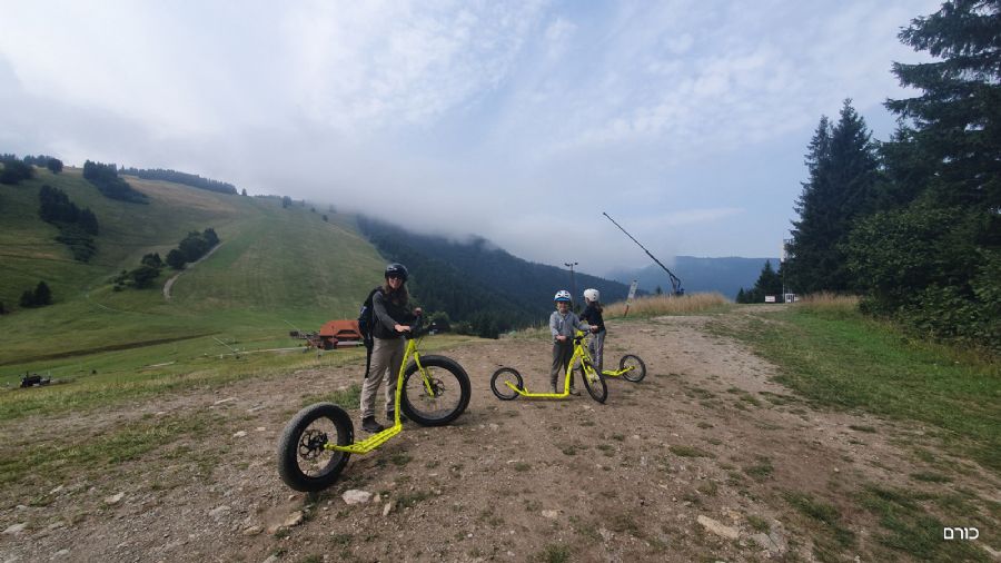 רוכבים באופני קארטינג במורד ההר