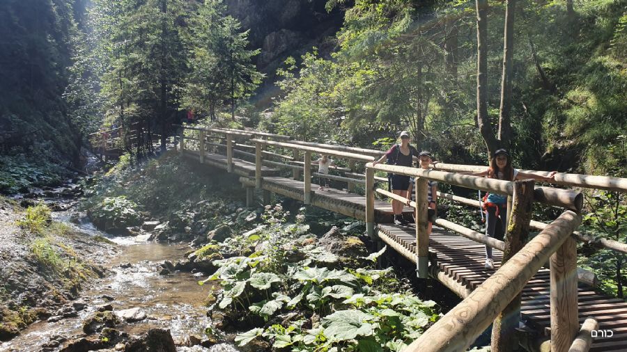 טיול ביאנושביקובה דיירי (נקיק דיירי)
