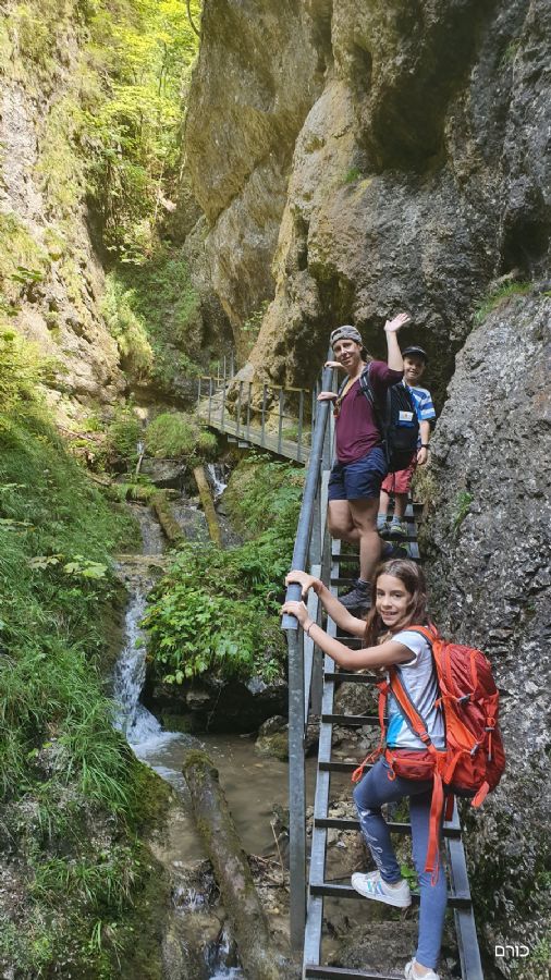 טיול ביאנושביקובה דיירי (נקיק דיירי)