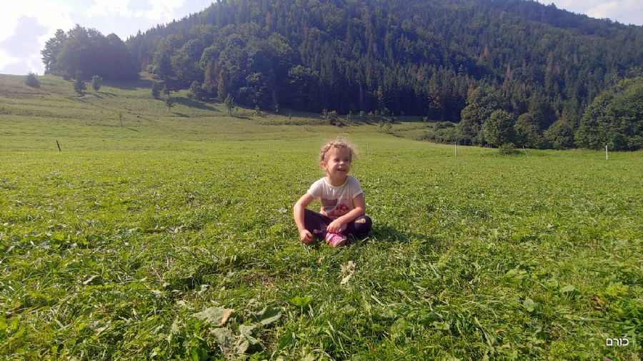 טיול ביאנושביקובה דיירי (נקיק דיירי)