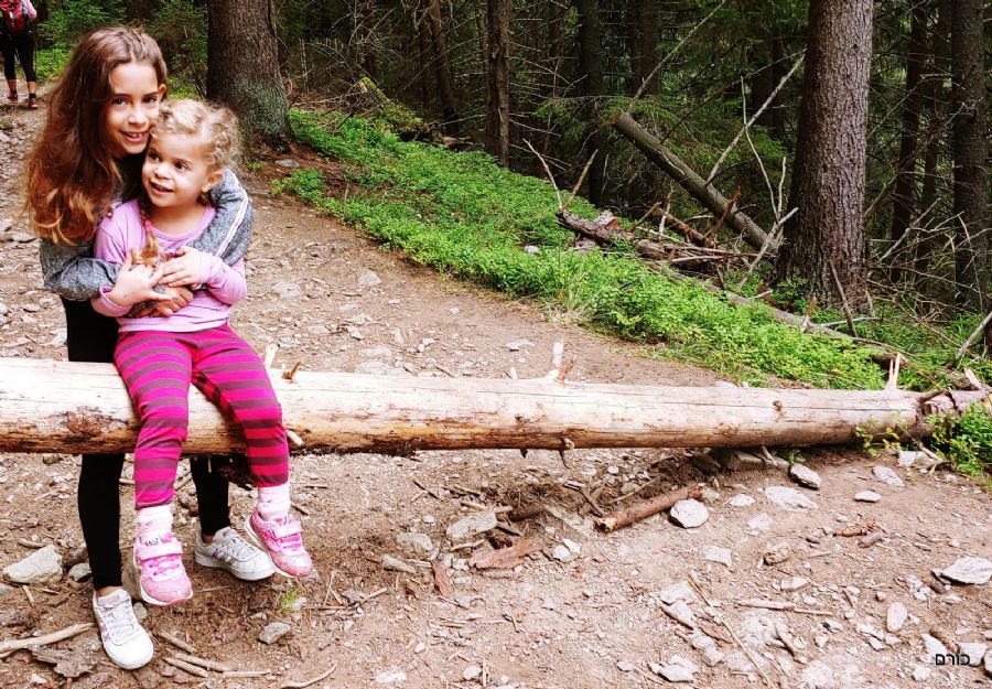 עמק זיארסקה