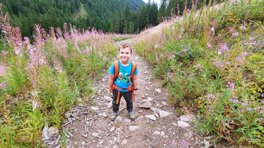 עמק זיארסקה