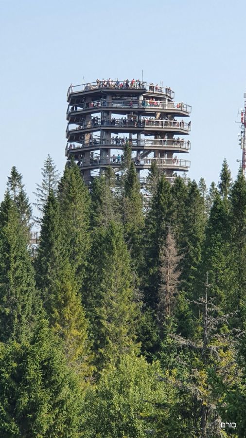 שביל צמרות העצים - פסגת באחלדקה