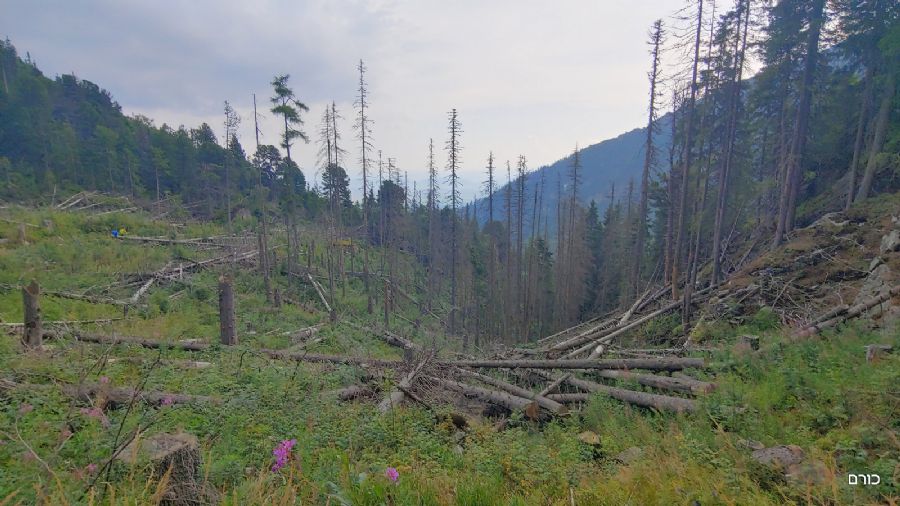 מסלול מאגם סקלנטה למפלי הרייבינוק
