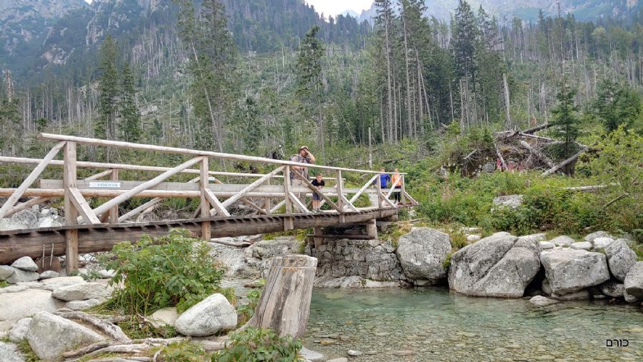 מסלול מאגם סקלנטה למפלי הרייבינוק