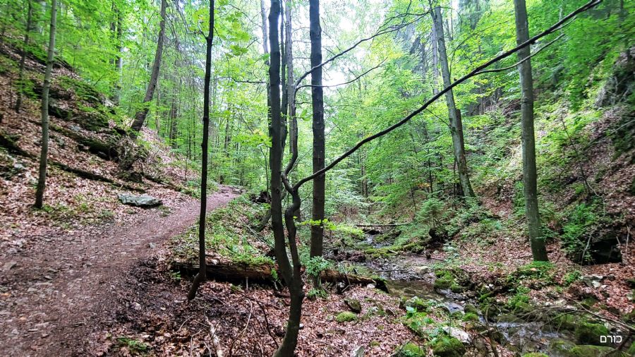 שביל זיימרסקה רוקלינה