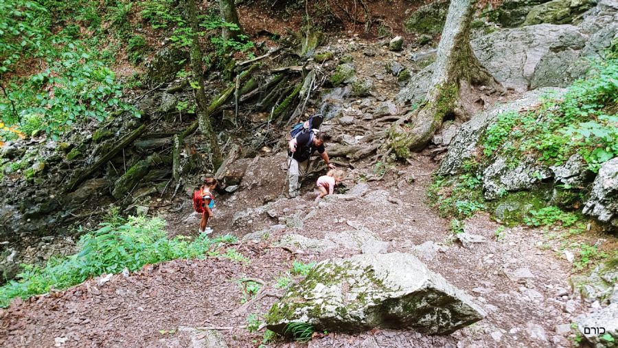 שביל זיימרסקה רוקלינה
