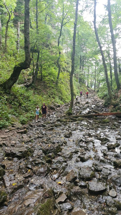 שביל זיימרסקה רוקלינה