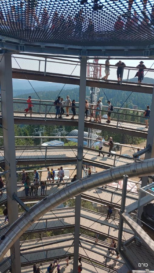 שביל צמרות העצים - פסגת באחלדקה