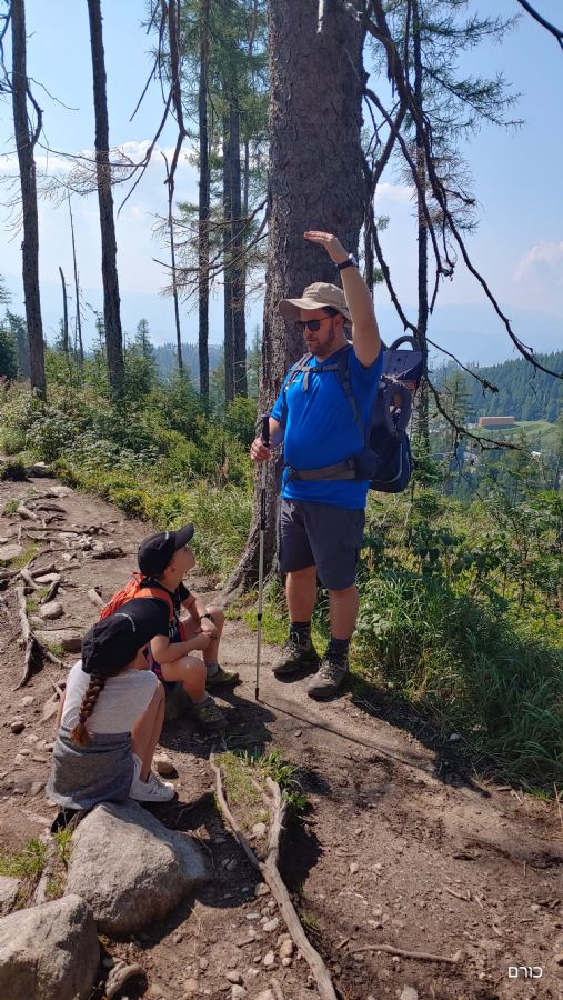השביל לפופרדסקה פלאסו