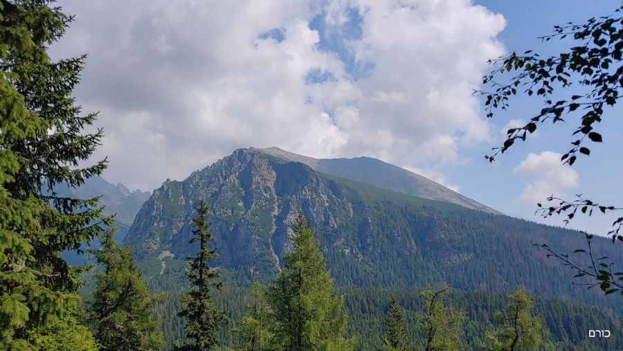 השביל לפופרדסקה פלאסו