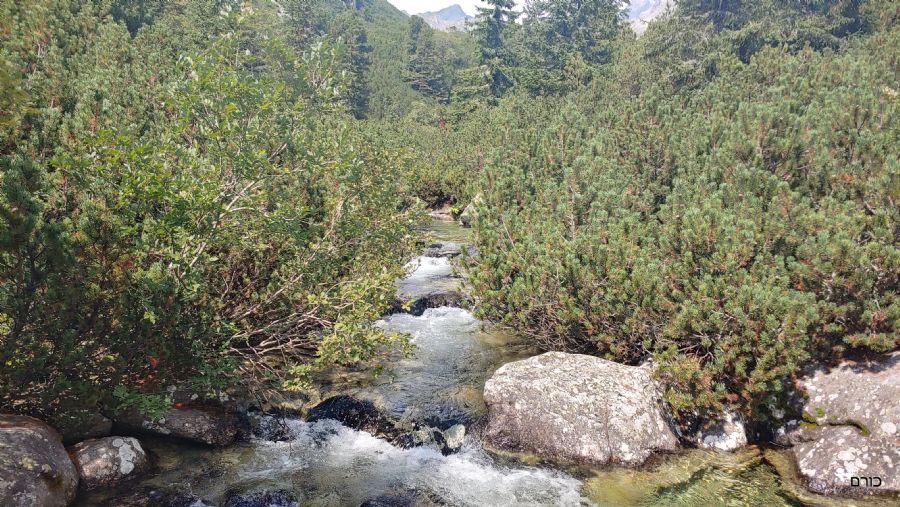 השביל לפופרדסקה פלאסו