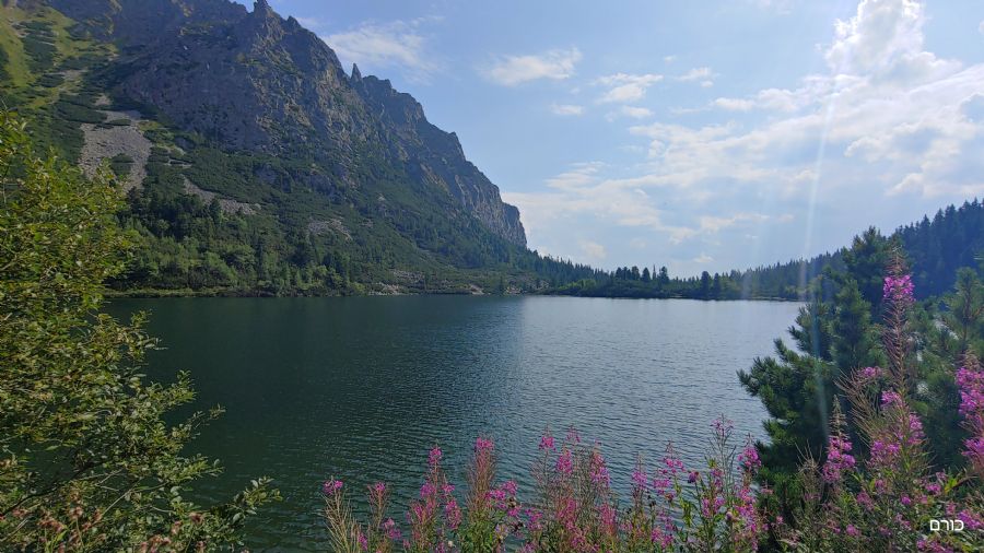 השביל לפופרדסקה פלאסו