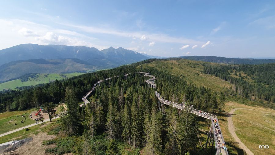 שביל צמרות העצים - פסגת באחלדקה