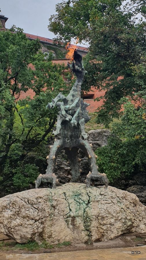 הדרקון יורק האש בקרקוב