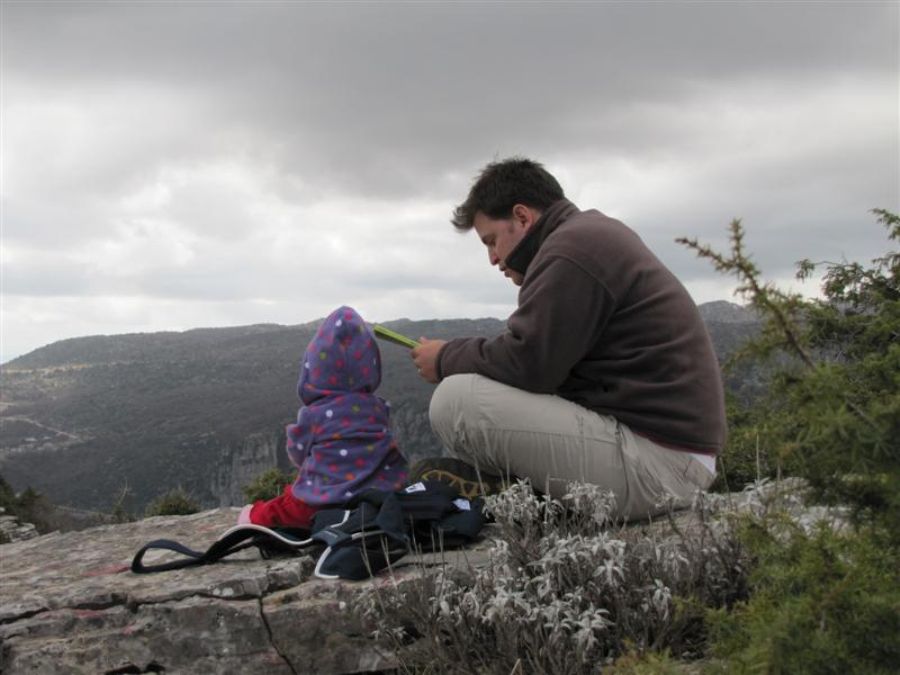 תצפית משותפת