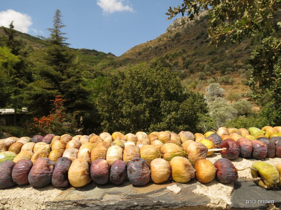 מתאנים לדבלים