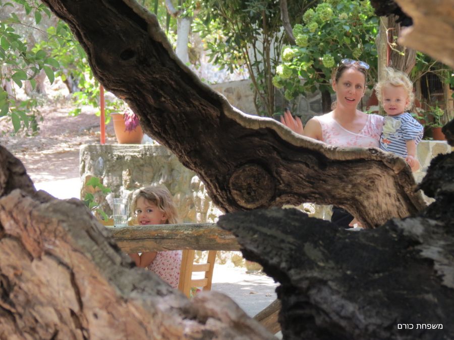 עץ הדולב העתיק