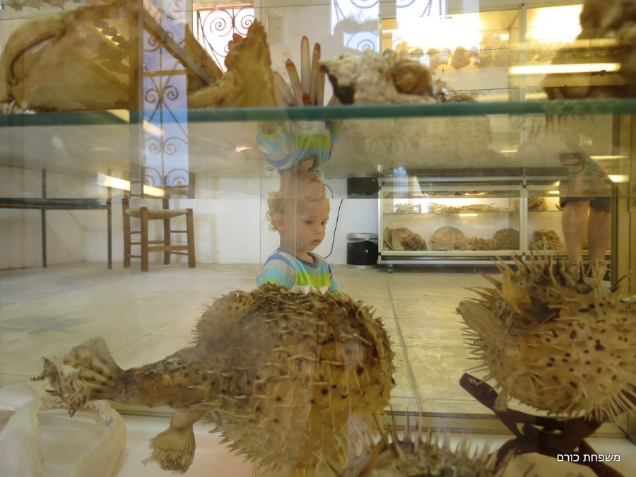 במוזיאון הימי בחאניה