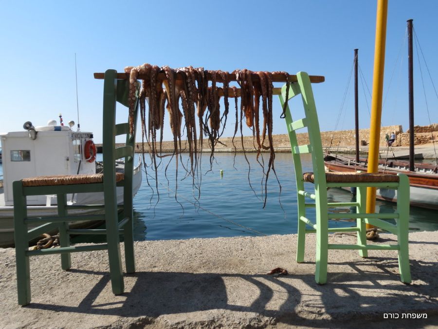 ייבוש תמנונים