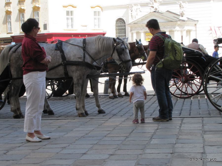 בתצפית מקרוב