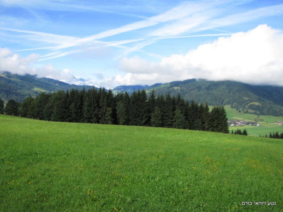 הנוף במסלול ההליכה