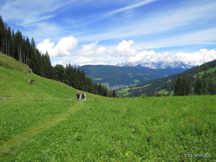חבל זלצבורג - פלאכו