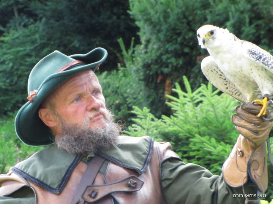 מופע הציפורים הדורסות