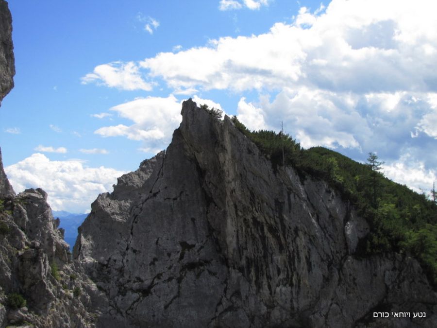 באזור מערכת הקרח