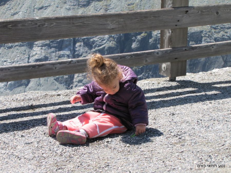 יעלה אוהבת אבנים....