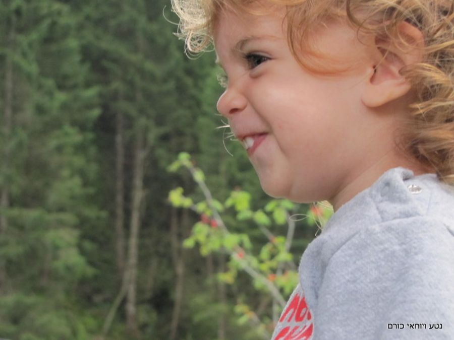 חיקוי המרמיטה