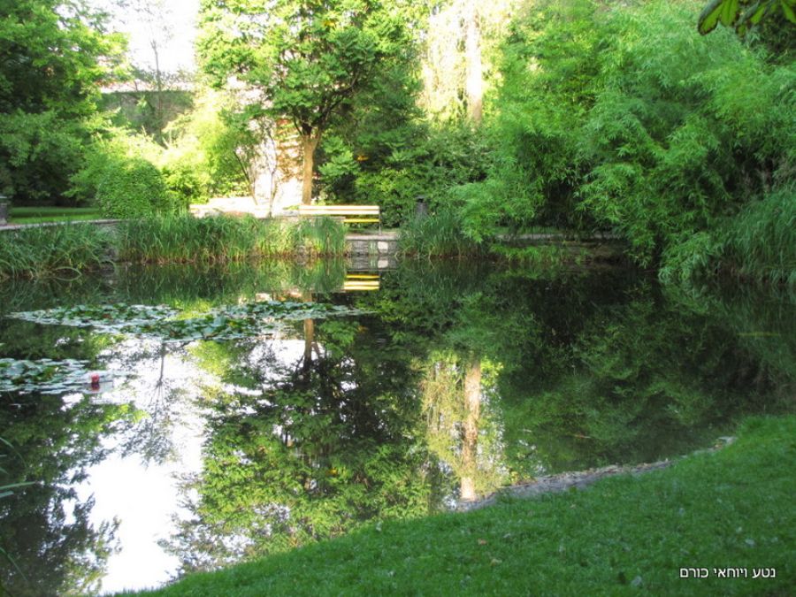 אגמון בפארק