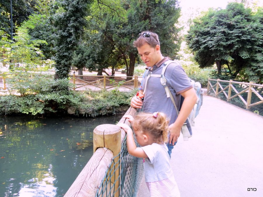 בפארק ליד המלון